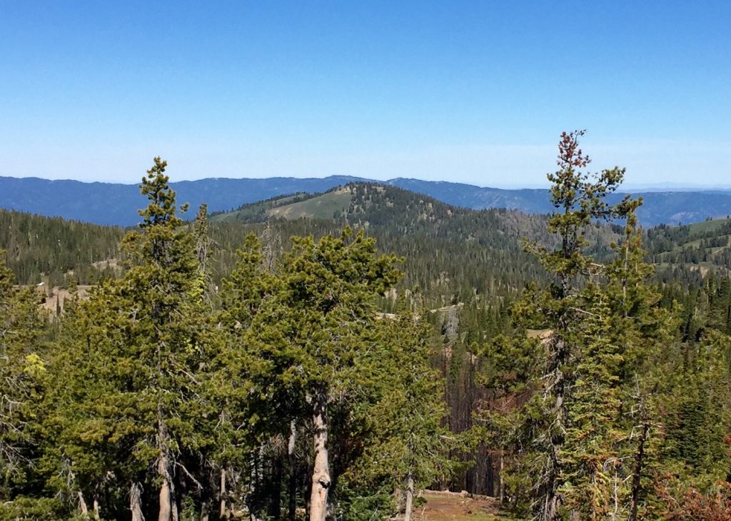 Wilson Peak from Pilot Peak.