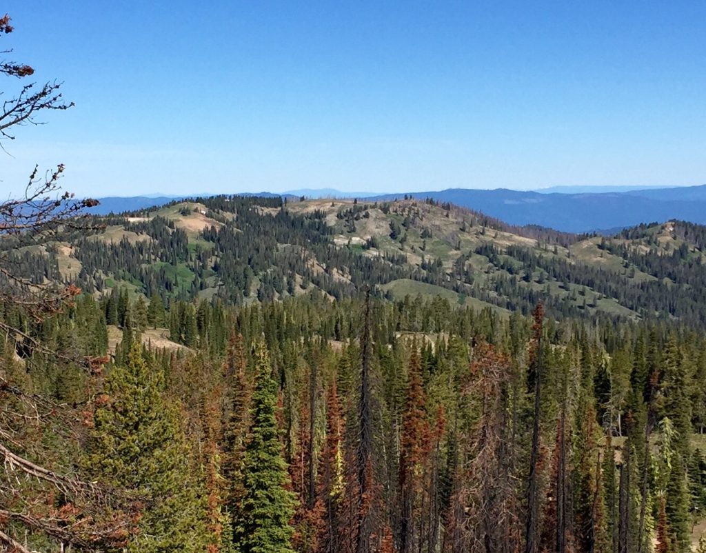 Peak 7905 from Pilot Peak.