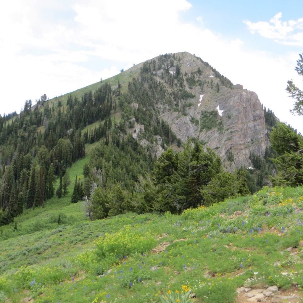 Haystack Mountain from a bit closer. Steve Mandela Photo 