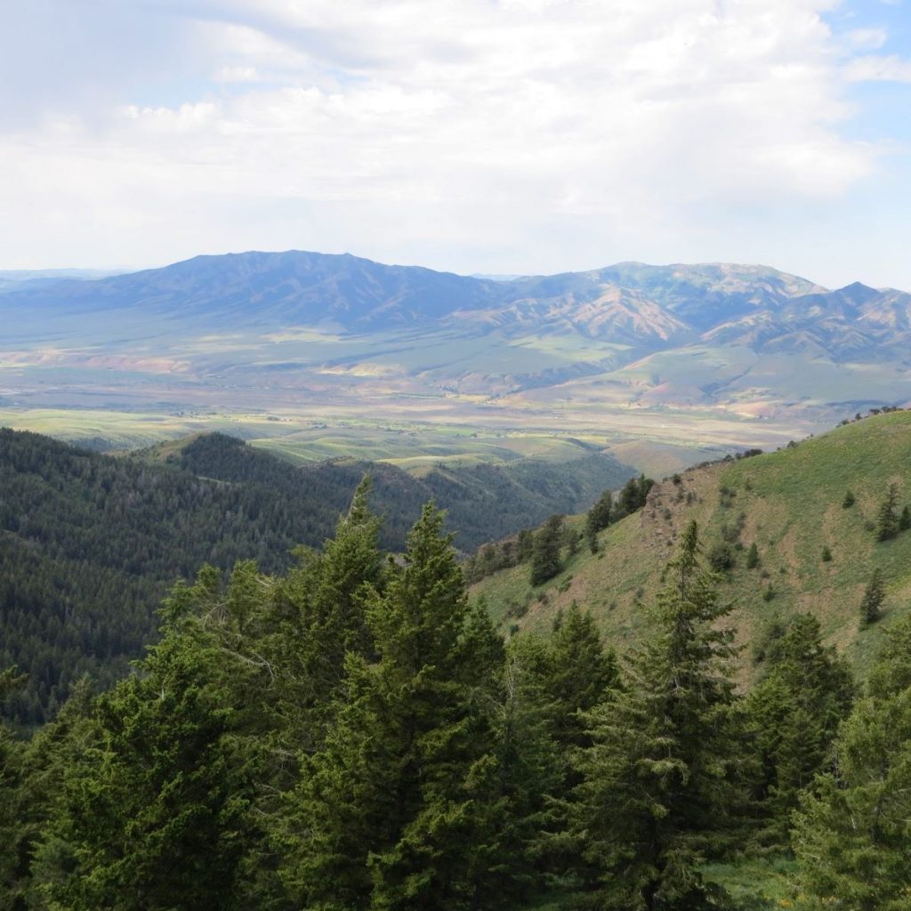 Old Tom and Scout Mountain across the valley. Steve Mandela Photo 