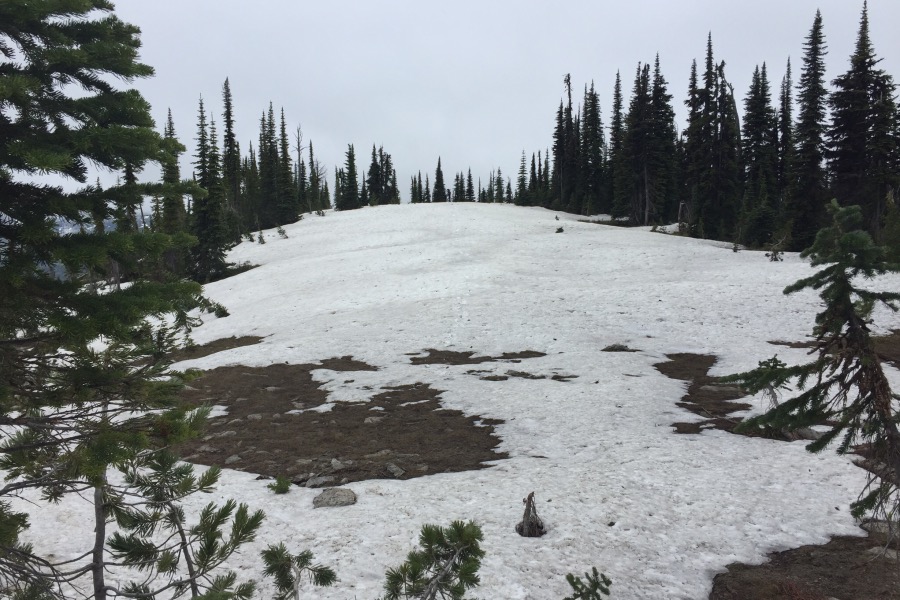 The summit area was covered with snow on June 24th.