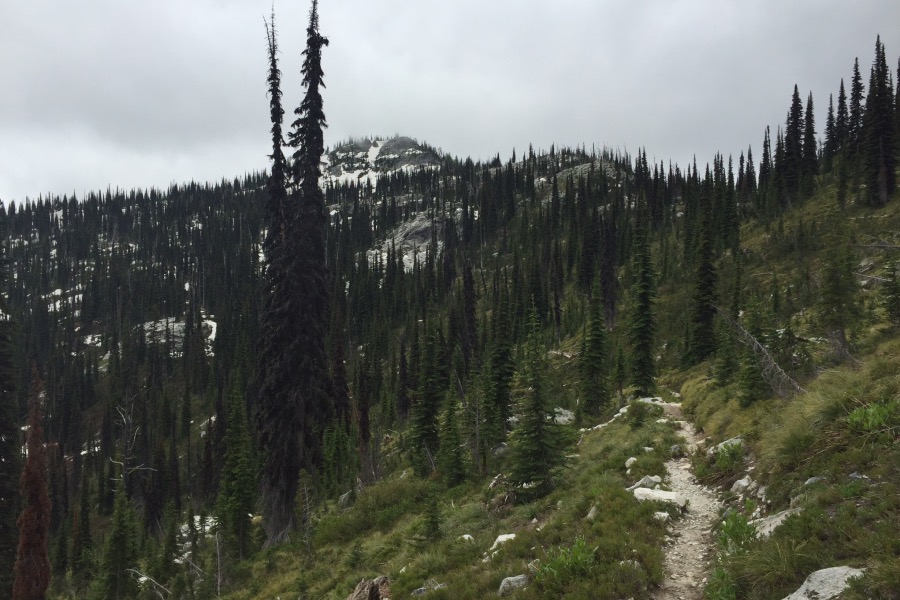 Approaching Wahoo Pass and the Idaho/Montana border.