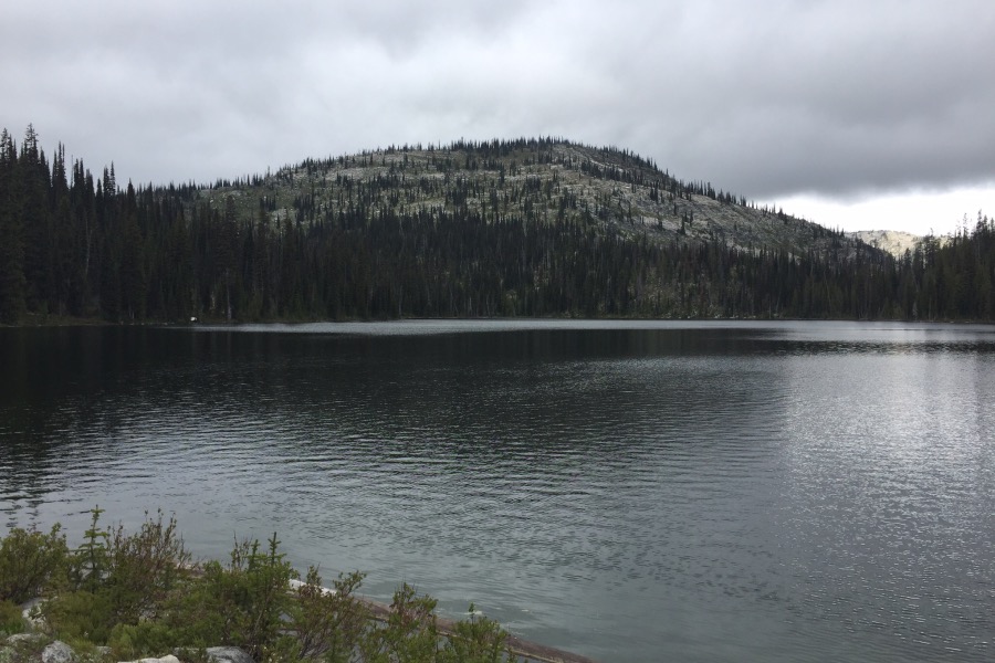 Peak 7544 rising over the upper Twin Lake.