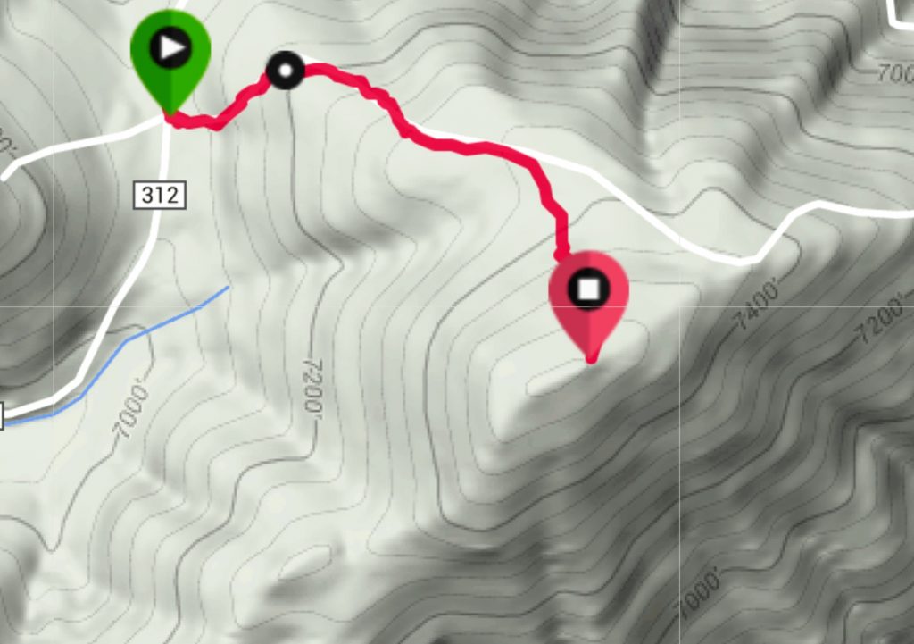 My GPS track. Please note that the skid road is shown as still existing on this map. This is an error. There is no road, just a few remnants to follow.