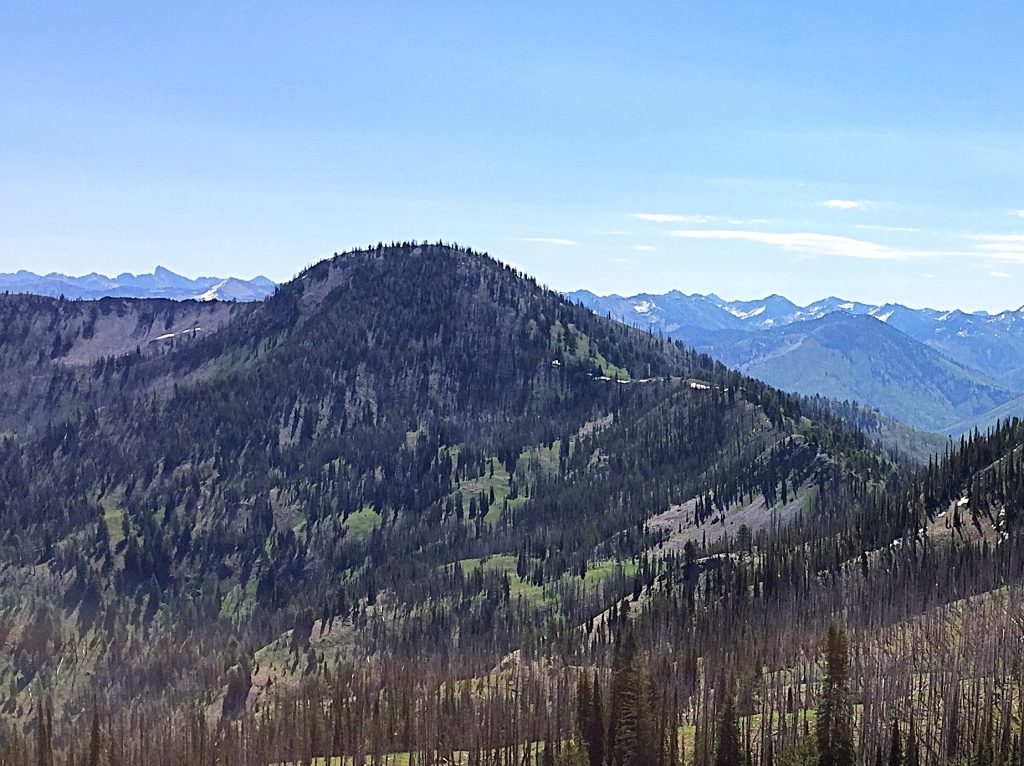 Tyee Mountain from Peak 8498.