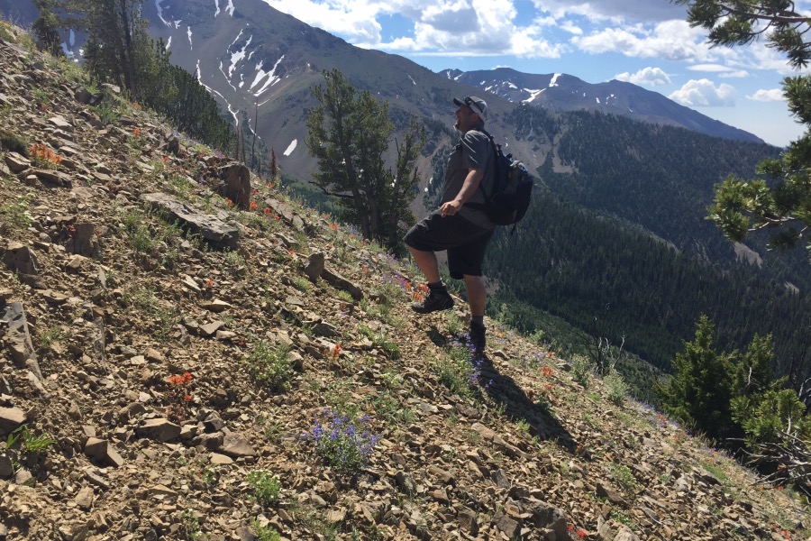 Dan Robbins approaching treeline on the Senate Creek ridge. 