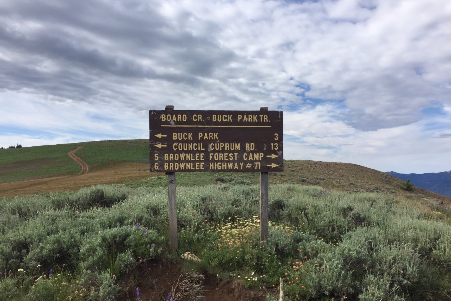 The sign on the saddle between Cuddy Mountain and Cuddy Point. 