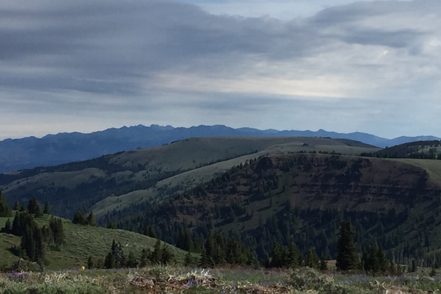 The Seven Devils from Cuddy Mountain.