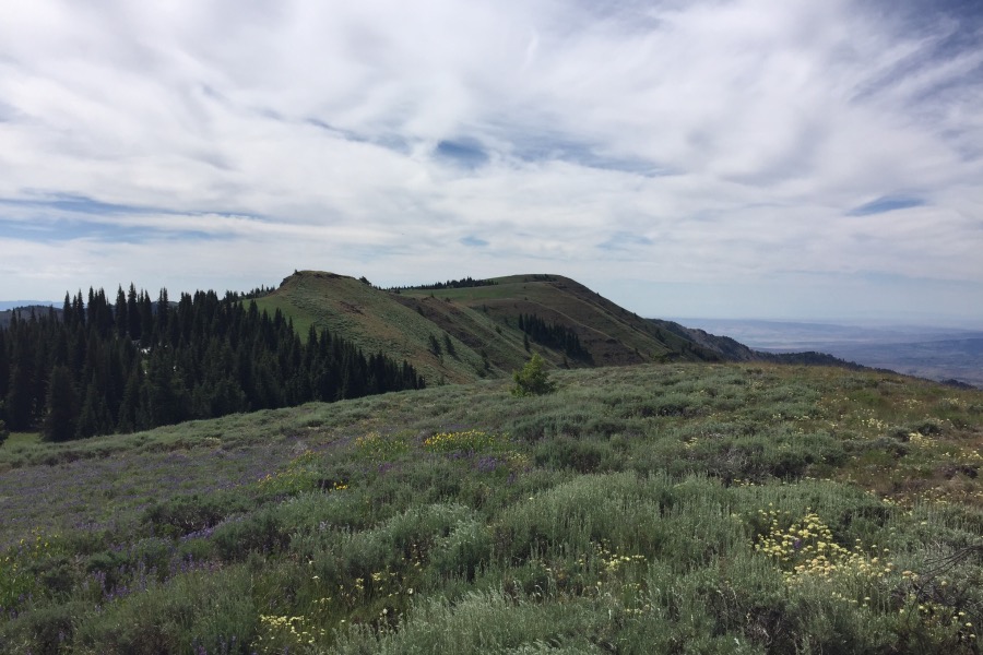 Cuddy Mountain from Cuddy Point.