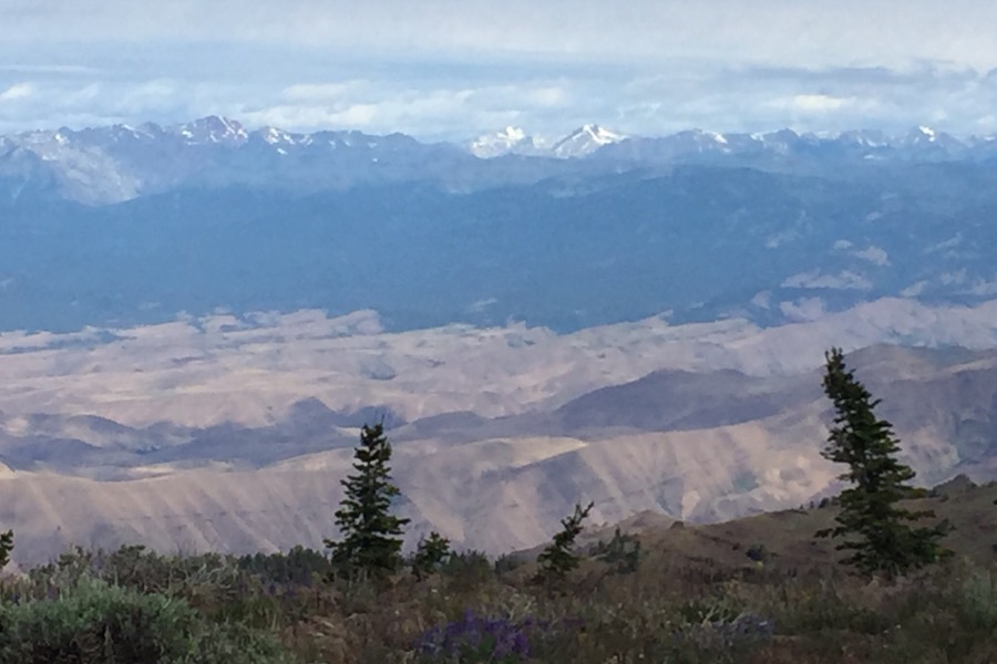 The Wallowaws from Cuddy Mountain.