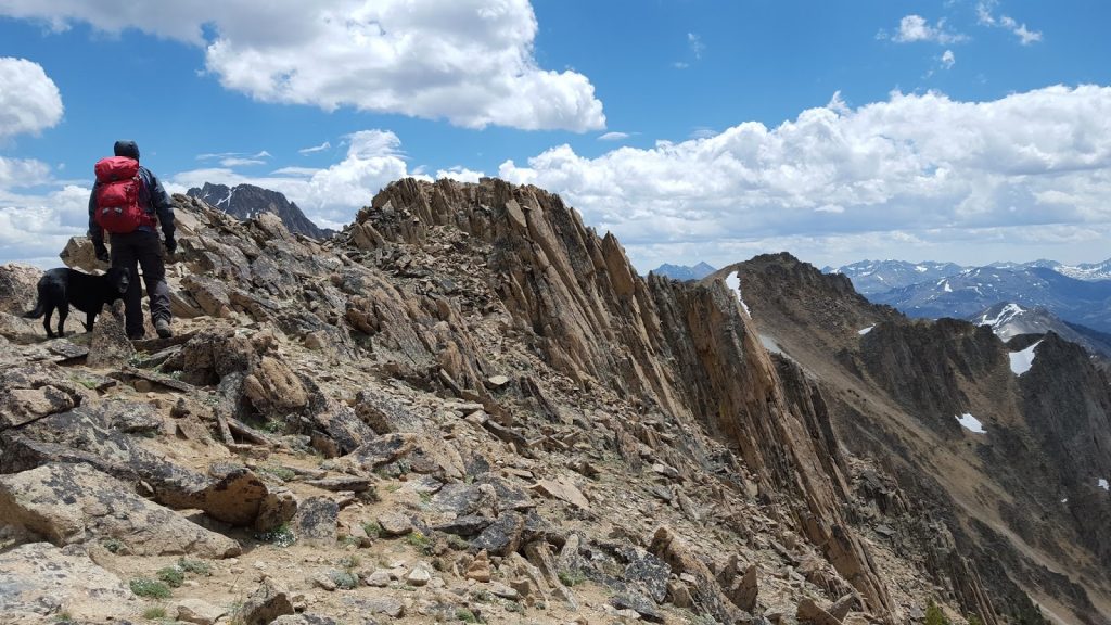 The summit ridge of Patterson Peak. Tom Cox Photo