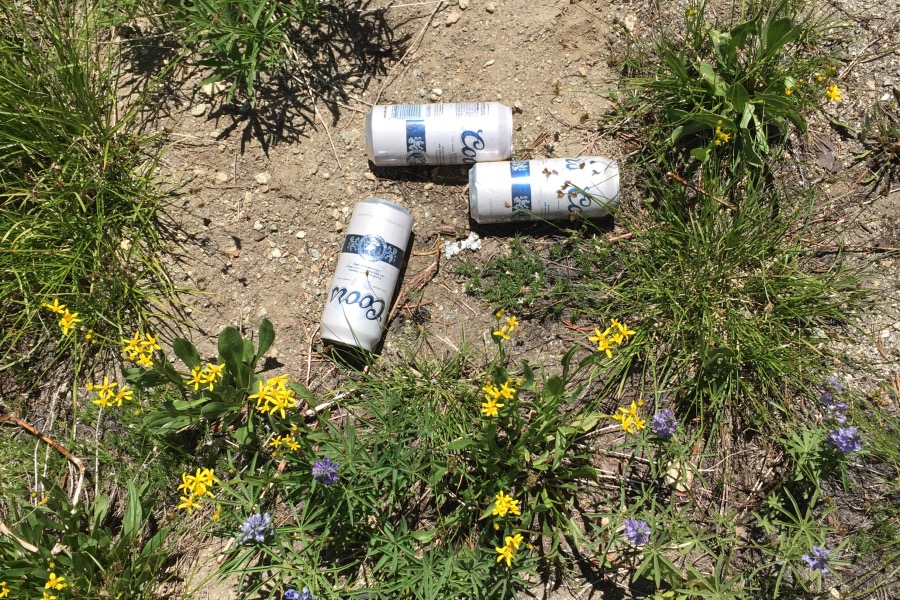 Three old, still full, pull top beer cans on the summit.