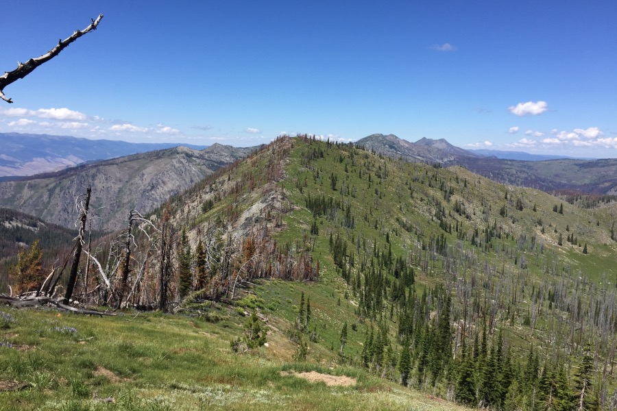 Serene Peak viewed from Hard BM.