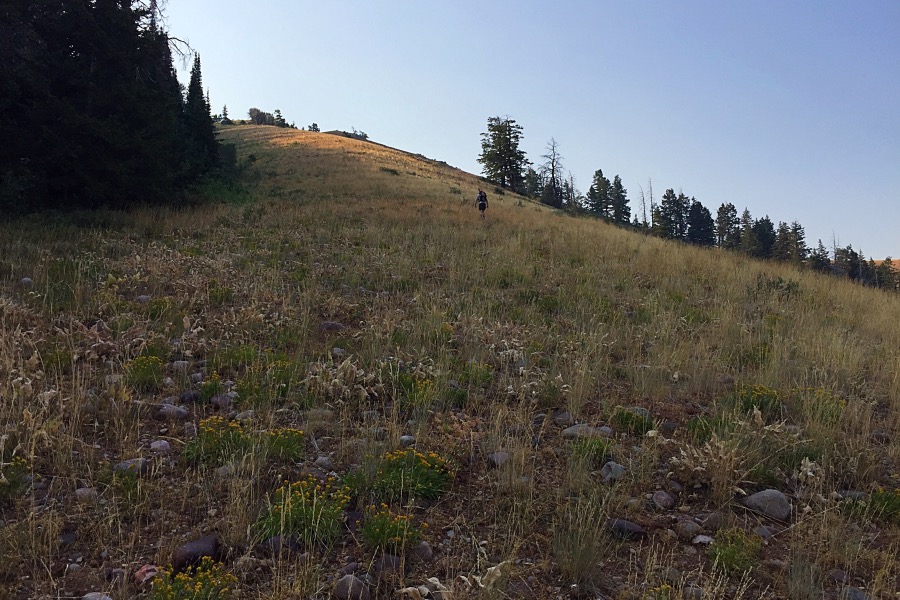 Approaching the west ridge. Once you get out of the forest the route is mostly open.