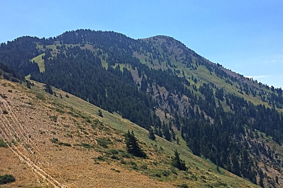 This view of Oxford Peak was taken on the descent. The west ridge is on the right and the north ridge on the left.