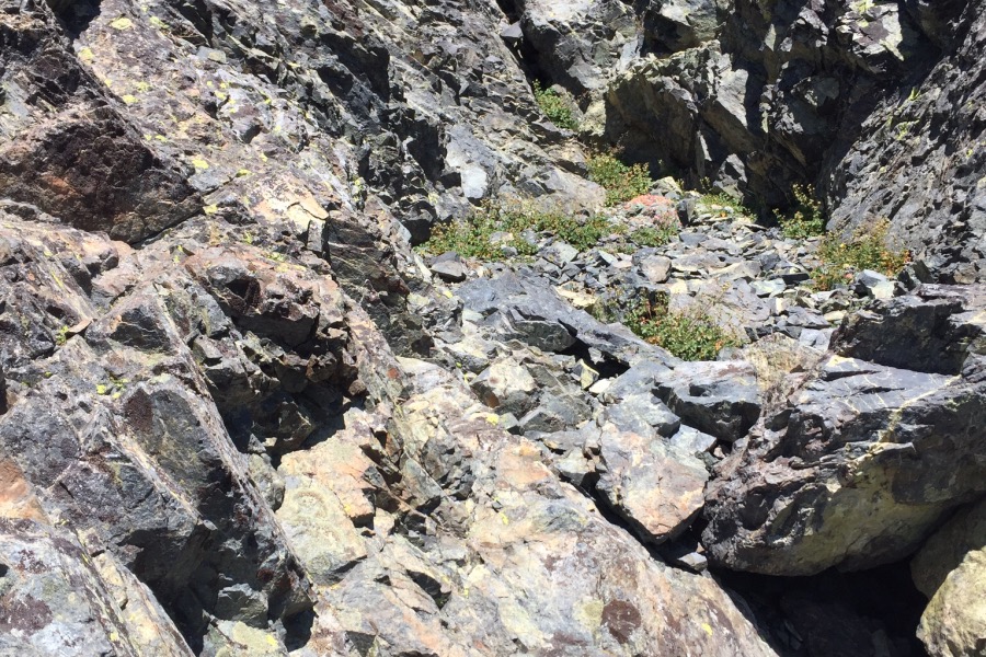 Looks up the upper gully.