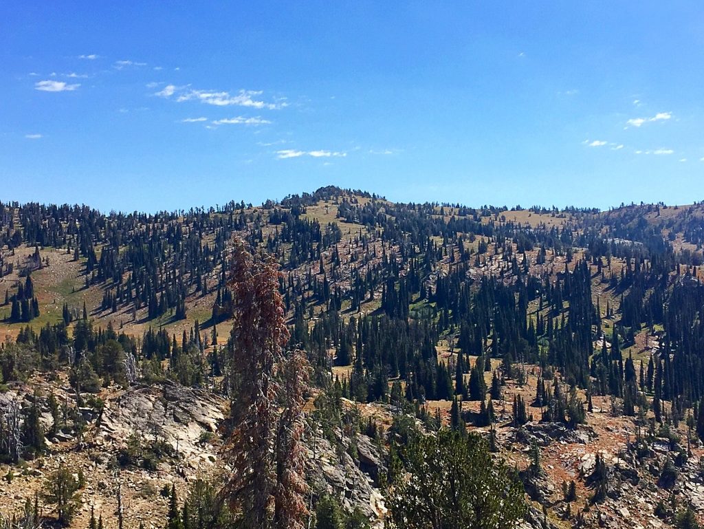 Granite Peak from Gabes Peak. Few people see the peak from this direction.