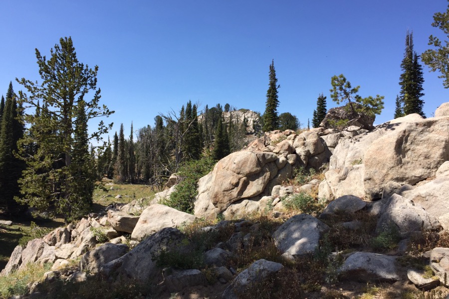 Approaching the summit on the trail.