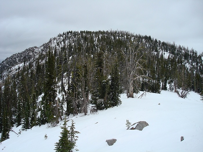 Boulder Mountain's west ridge. Dave Pahlas Photo 