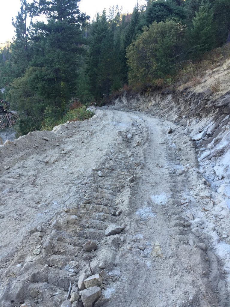 The trail after 2016 logging. Dan Krueger Photo 