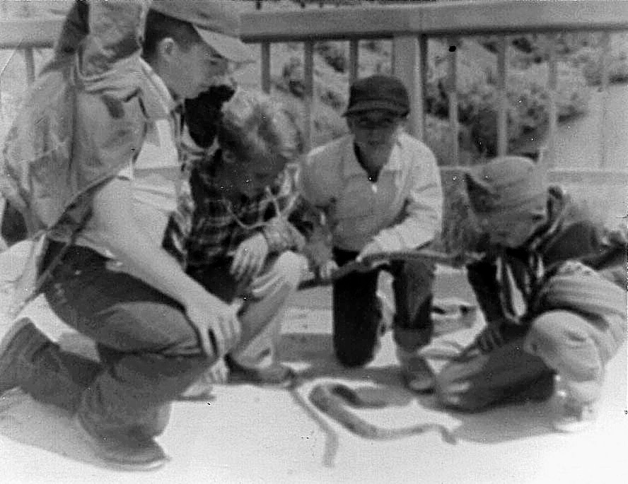 Troop 77 at the black cliffs in 1963 and a big rattlesnake. Ed Boyles Photo