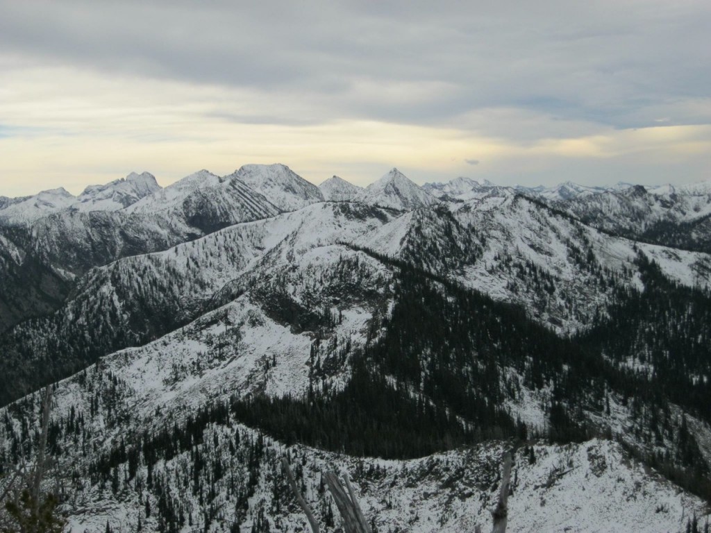 The mighty Bitterroots from Peak 8,261. Dan Saxton Photo