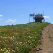 The summit of Hawley Mountain. Dan Robbins Photo