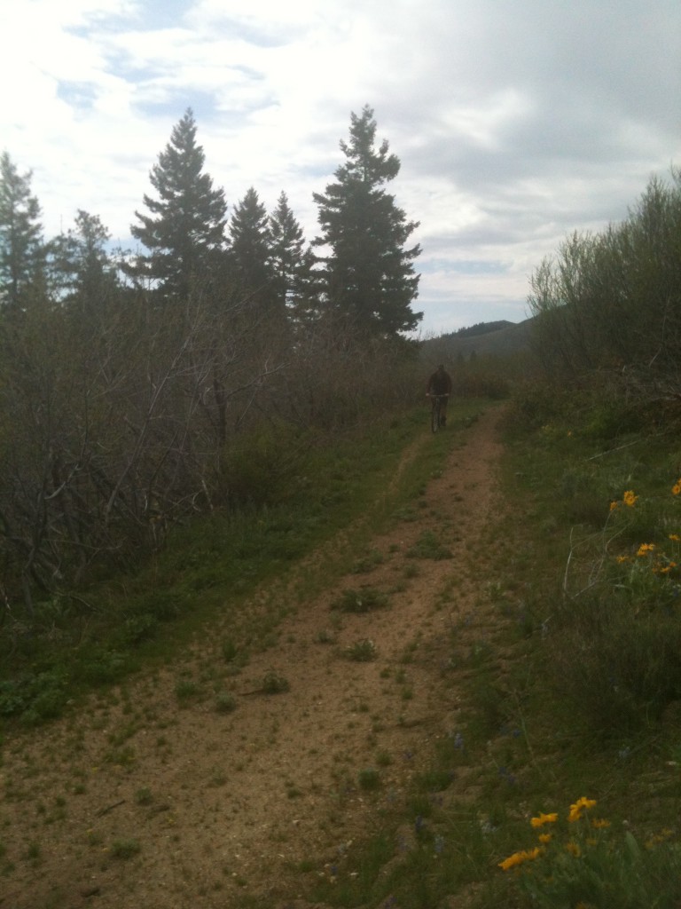 The ridge top road is good enough for mountain biking. I have never been on this road when the gate was open.