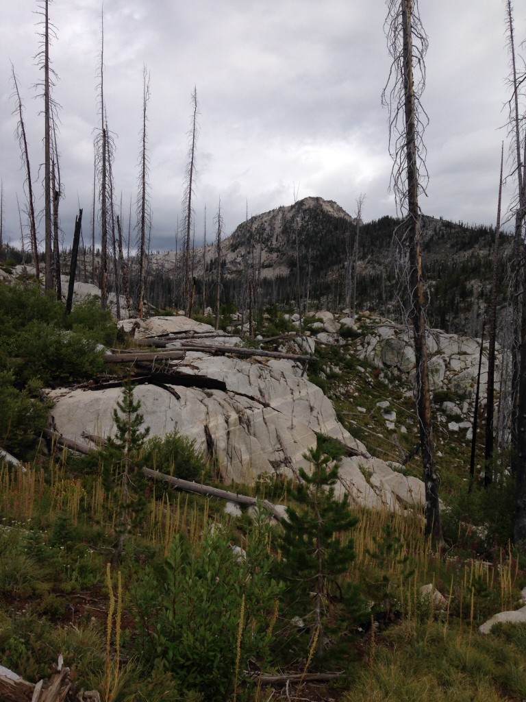 Burnside Peak from Lick Creek Summit.