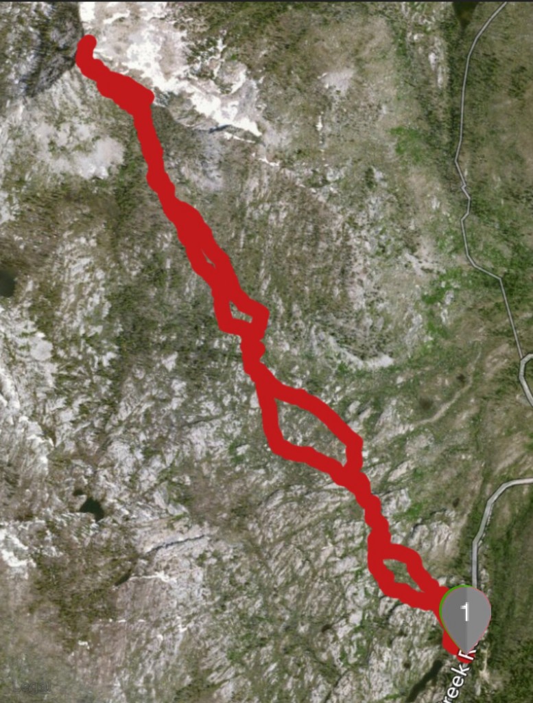 Our route from Lick Creek Summit to the top.