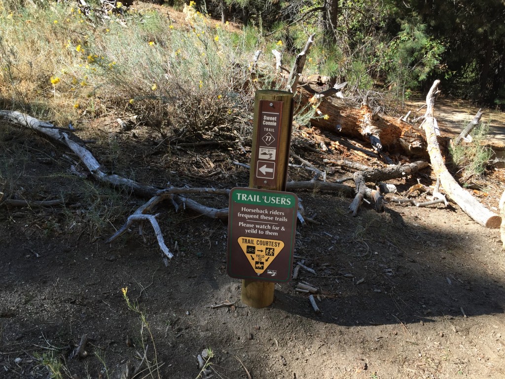 The first junction. The Ridge to Rivers Trail system is a treasure. The trails in the Stack Rock area are no exception.