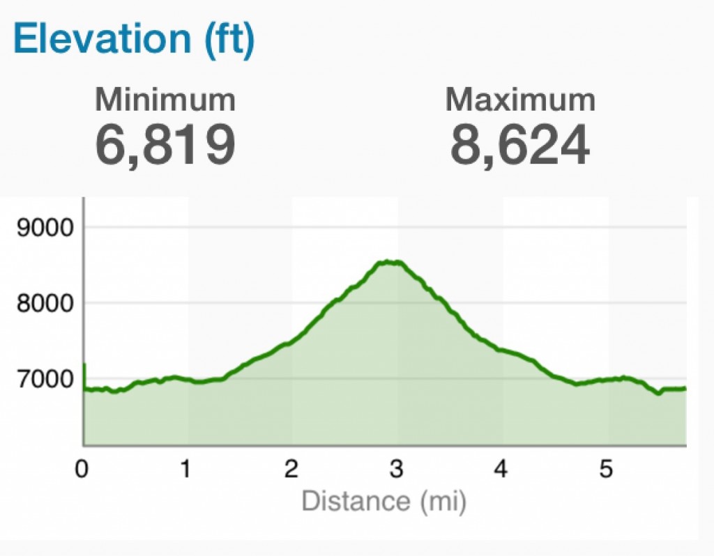 Elevation Profile.