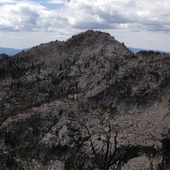 Beaverdam Peak from the east ridge of Burnside Peak.