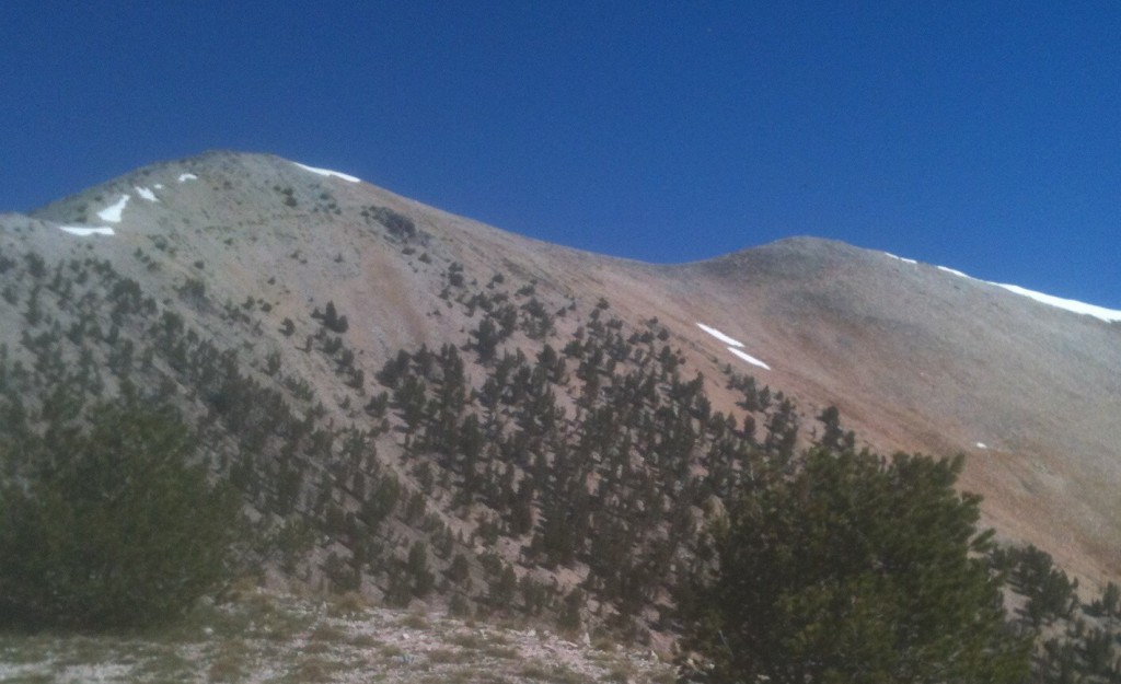 Peak 10723 from the pass above Meadow Lake.