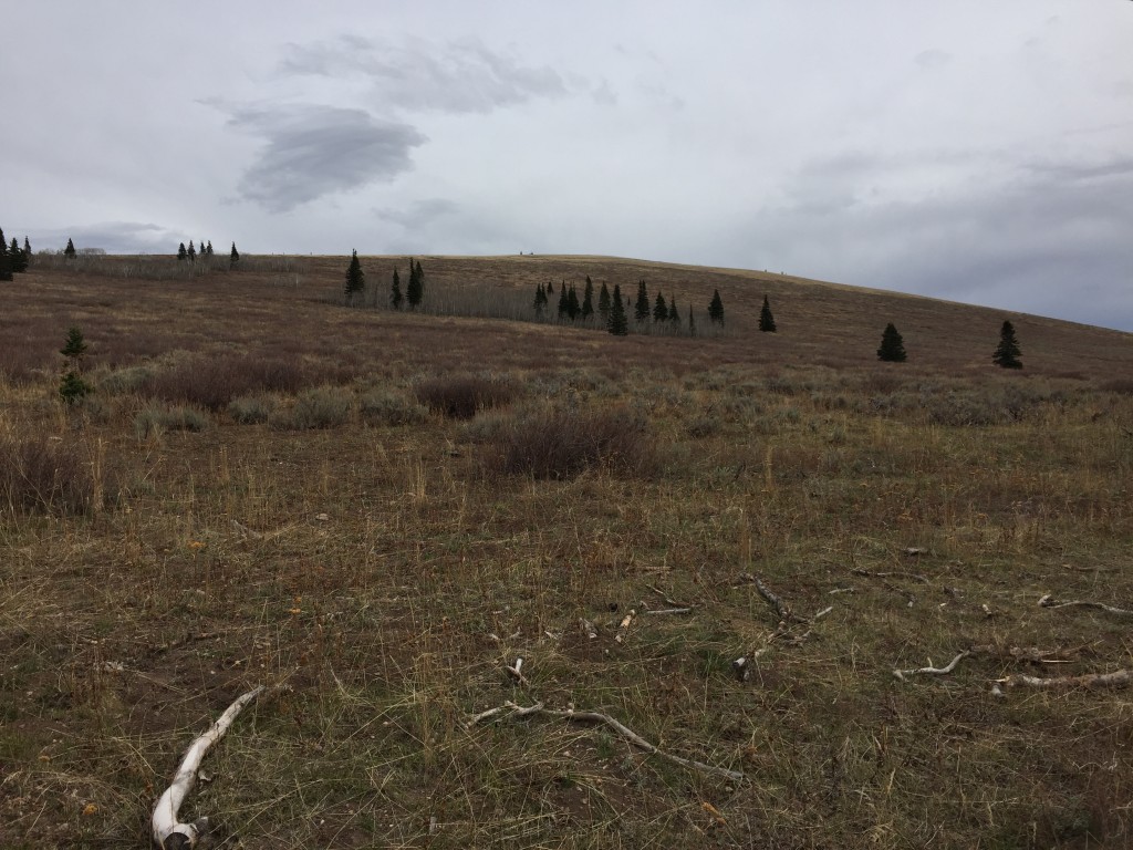 Connor Ridge's western slopes.