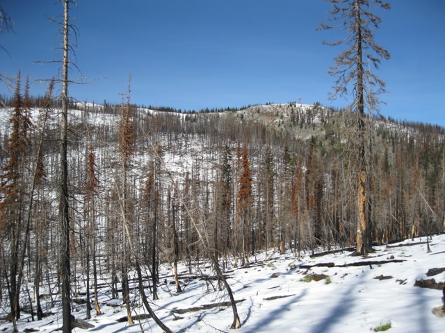 Bear Mountain from the trail up. Dan Saxton Photo 