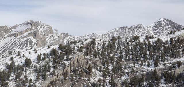 Peak 10401 on the left and Tyler Peak on the right. Larry Prescott Photo 