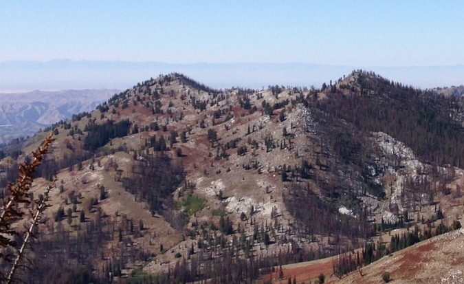 Peak 8554 from the slopes of the Fiddlers Perch. The highest summit is the on the right. The lower summit is Point 4489.