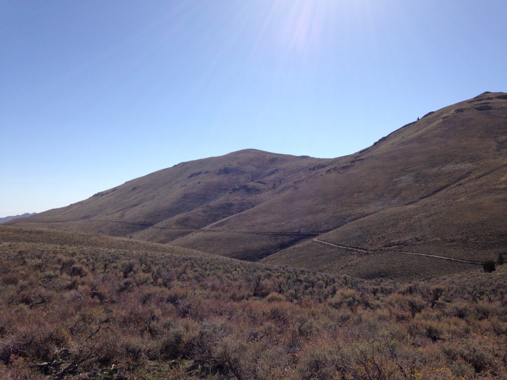 Peak 8082 viewed from near Beaverland Pass.