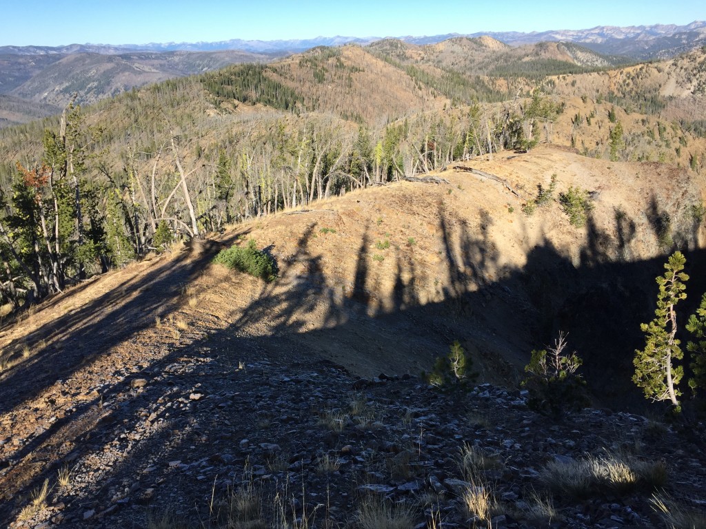 This photo shows the north ridge just below the summit. The western slopes, of course, to the left side of the photo.