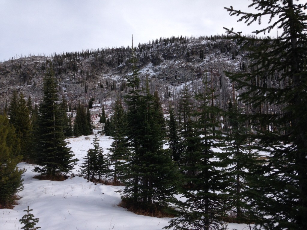 The west face of Black Pearl Peak. 