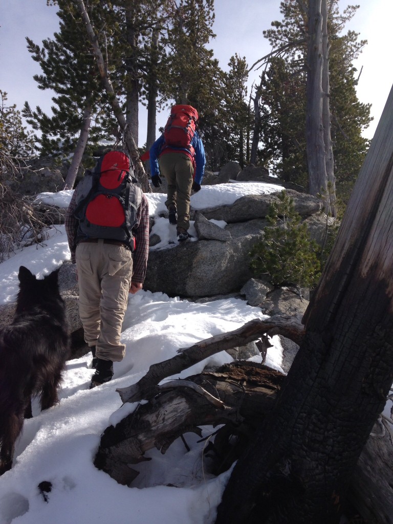 Moving up the summit ridge.