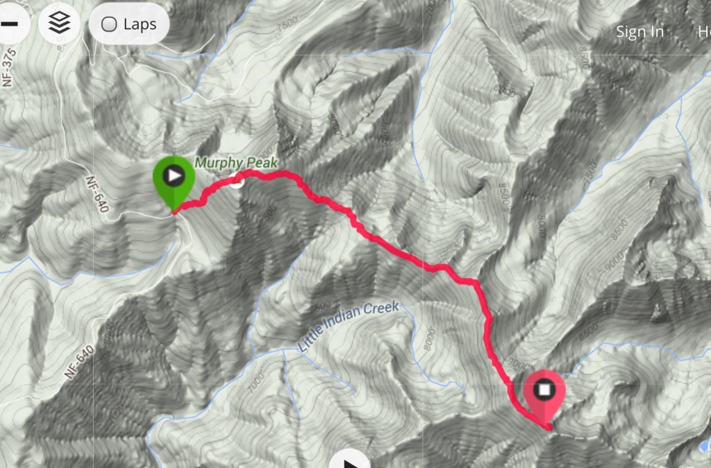 This is my GPS track for the climb up Murphy Peak and Red Mountain Benchmark.