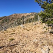 A view along the ridge. Section of the north ridge were open and others were forested. Footing varied from easy to ball bearing, lose gravel.