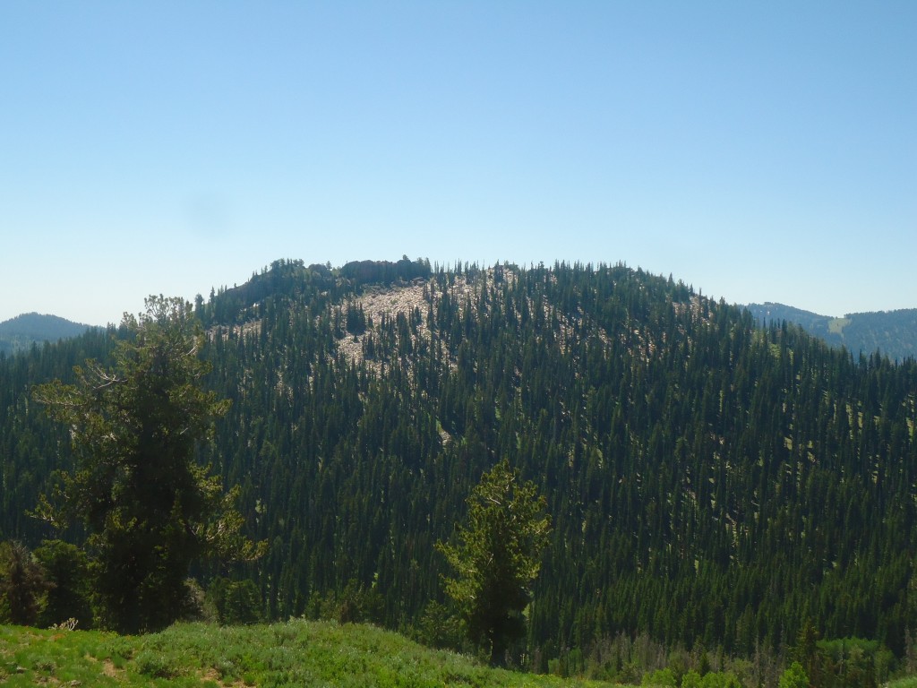 Castletop Peak. Matt Durrant Photo 