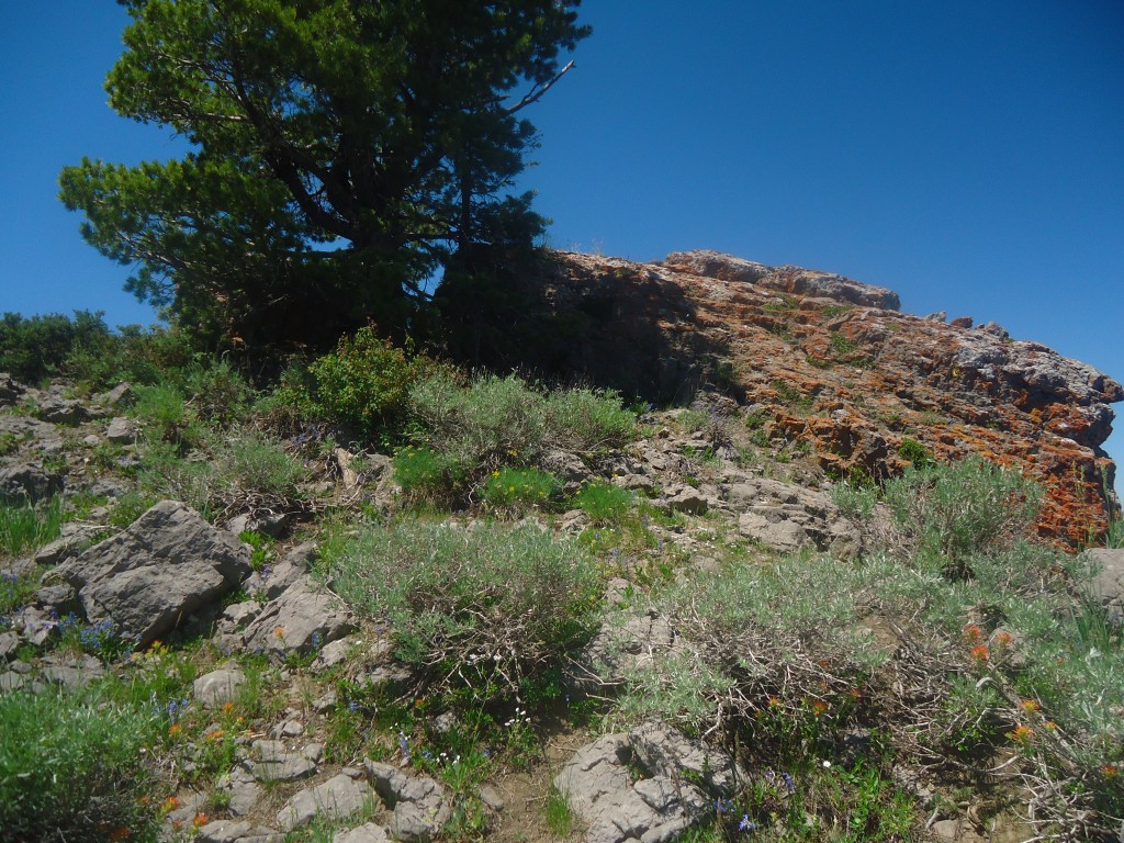 Castletop Peak. Matt Durrant Photo 