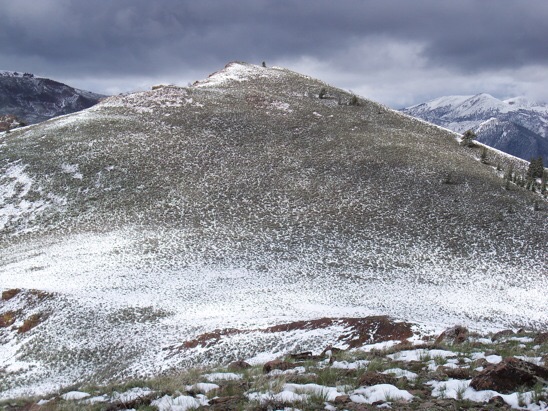 View NW along White Knob main crest to 'Stani' on 6/6/12. Rick Baugher Photo