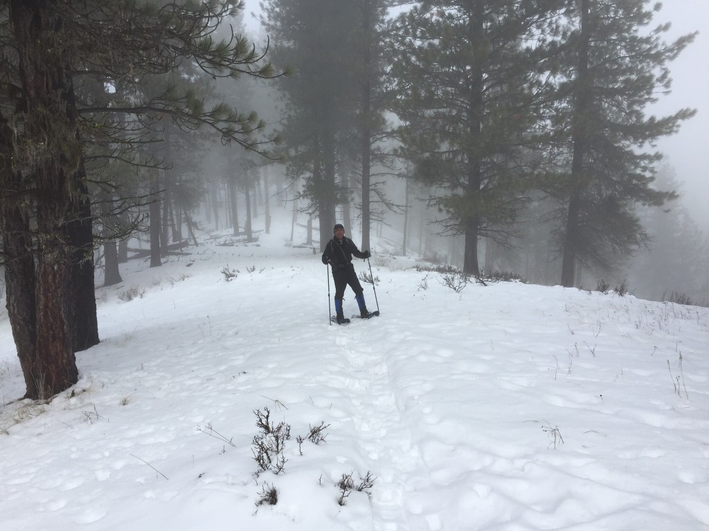 Gilbert Gallegos working up the peak's south ridge on a foggy day. The ridge climbs steeply out of canyon bottom for the first 900 feet and then stair steps up after that.