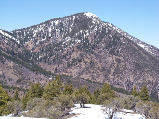 View N to Hawks Peak. SW ridge is on left skyline, 4/30/14. Subsequent research has indicated this peak was used for triangulation by USGS topographical engineer George T Hawkins in preparing the Montpelier 30' quad of 1909. I'd like to think the peak was named for the bird and the man. Rick Baugher Photo 