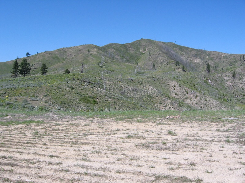 Krall Mountain burned over in the 1990s and is nearly devoid of trees as a result. John Platt Photo